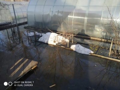 Затопило огород-09.jpg